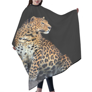 Personality  Leopard Portrait On Dark Background Hair Cutting Cape