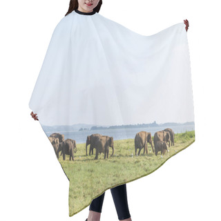 Personality  Wild Elephants Hair Cutting Cape