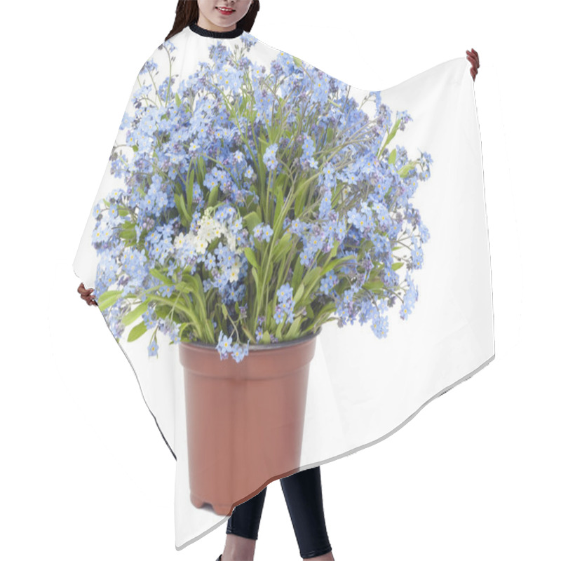 Personality  Big Bouquet From Forget-me-nots (Myosotis) Hair Cutting Cape