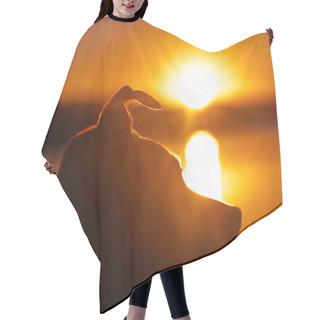 Personality  Dog Seen Up Close In A Backlit Sunrise Hair Cutting Cape