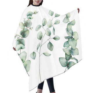 Personality  Watercolor Silver Dollar Eucalyptus Set. Hand Painted Baby, Seeded And Silver Dollar Eucalyptus Branch Isolated On White Background. Floral Illustration For Design, Print, Fabric Or Background. Hair Cutting Cape