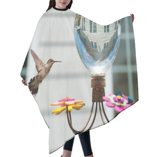 Personality  Hummingbird At The Feeder In The Garden Of A House Hair Cutting Cape