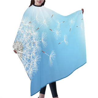 Personality  Dandelion Blowing Seeds On Blue Background Hair Cutting Cape
