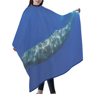 Personality  Sperm Whales Swimming In The Blue Ocean Hair Cutting Cape