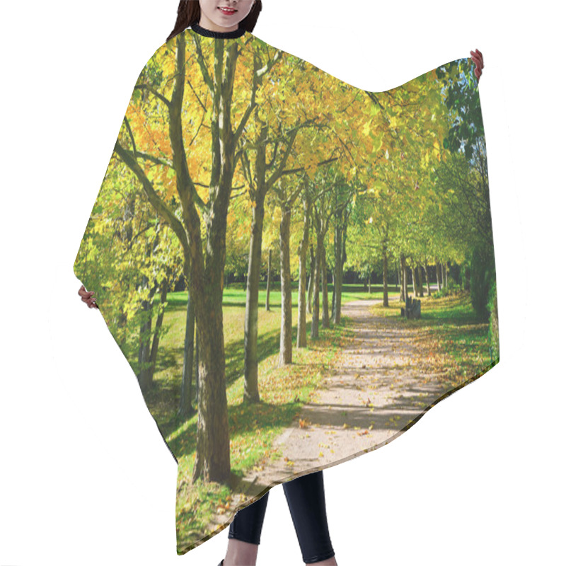 Personality  Pedestrian Walkway For Exercise Lined Up With Beautiful Fall Tre Hair Cutting Cape