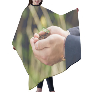 Personality  Cropped View Of Businessman Holding Green Sprout And Ground In Hands In Orangery Hair Cutting Cape