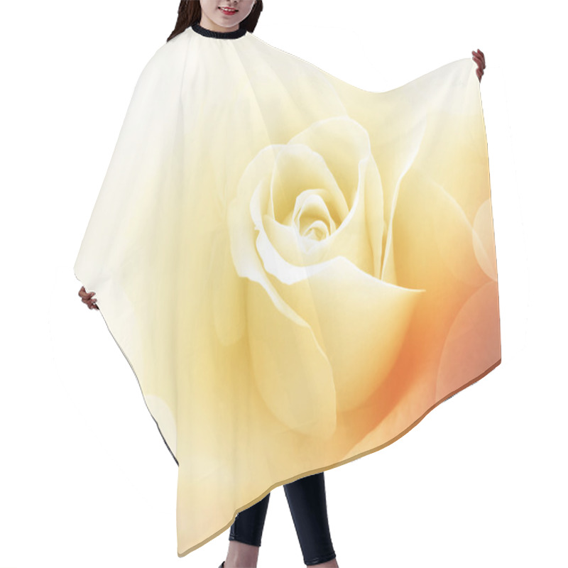 Personality  Evanescence Hair Cutting Cape
