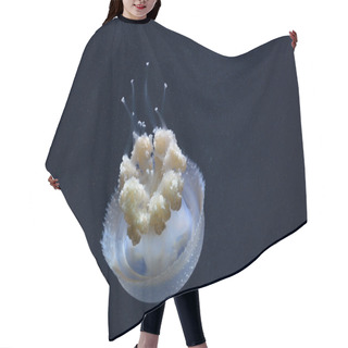 Personality  White Spotted Sea Jellyfish Hair Cutting Cape