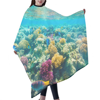 Personality  Tropical Coral Reef. Red Sea Hair Cutting Cape