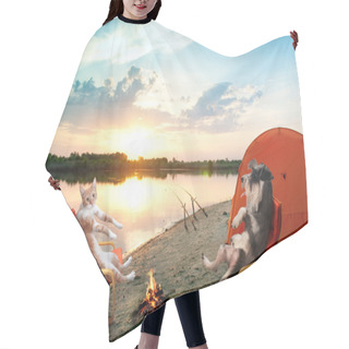 Personality  Cat And Dog Relaxing Hair Cutting Cape