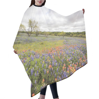 Personality  Spring Wildflowers In Texas Hill Country Hair Cutting Cape