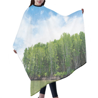 Personality  Mangrove Tree In Tropical Rain Forest Sunny Day Blue Sky Hair Cutting Cape