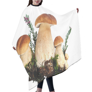 Personality  Group Of Forest Mushrooms Hair Cutting Cape