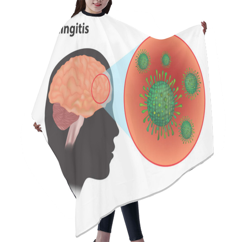 Personality  Meningitis - Inflammation Of The Brain. Viral Meningitis And Encephalitis Hair Cutting Cape