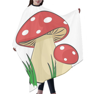 Personality  The Forest Mushrooms.  Hair Cutting Cape
