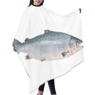 Personality  Atlantic Salmon Hair Cutting Cape