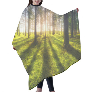 Personality  Sunny Birght Forest At The Sunset Hair Cutting Cape