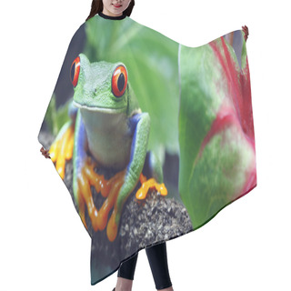 Personality  Red-Eyed Tree Frog Hair Cutting Cape