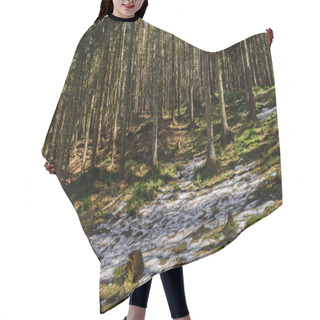 Personality  Glade With Moss And Snow On Hill In Coniferous Forest  Hair Cutting Cape