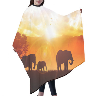 Personality  Elephants Hair Cutting Cape