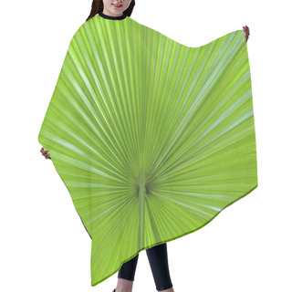 Personality  Palm Leaf Abstract Hair Cutting Cape