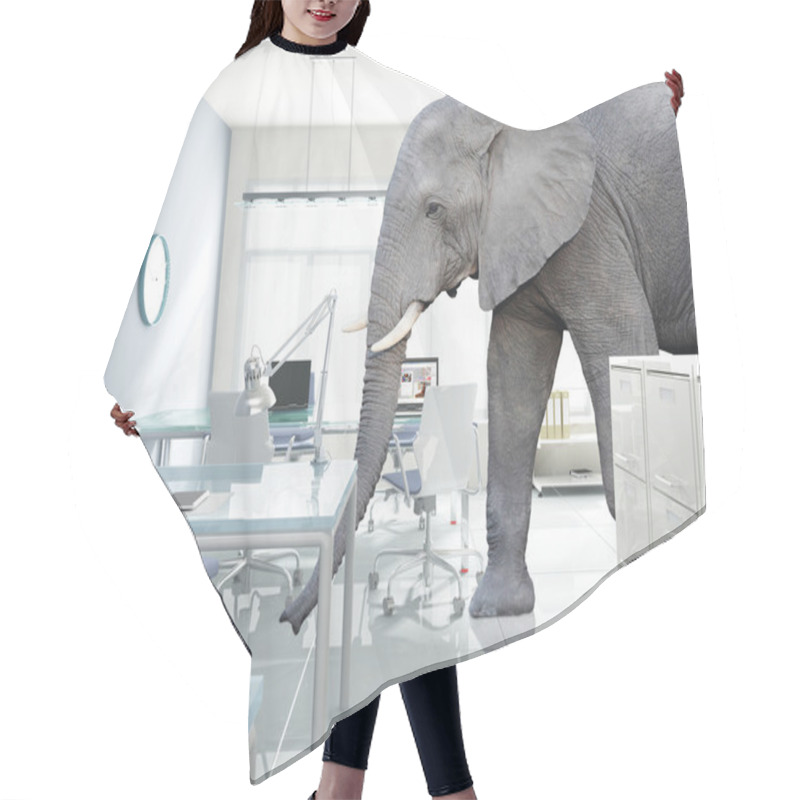 Personality  elephant in a room hair cutting cape