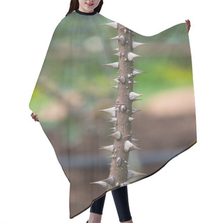 Personality  Thorns On The Rose Plant Hair Cutting Cape