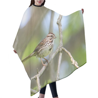 Personality  Song Sparrow (melospiza Melodia) Hair Cutting Cape