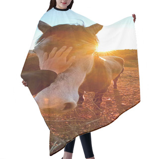 Personality  Hand Touching The Head Of A White And Gray Horse With A Sunrise Behind Hair Cutting Cape