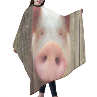 Personality  Big Pig Hair Cutting Cape