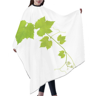 Personality  Vine Leaves Hair Cutting Cape