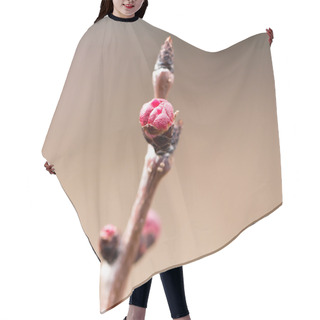 Personality  Nature Hair Cutting Cape