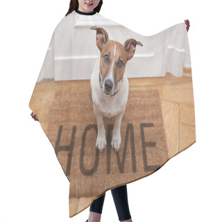 Personality  Dog Welcome Home Hair Cutting Cape