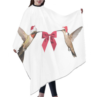 Personality  Two Hummingbirds In Flight, Wearing Santa Hats Carrying A Red Bow Isolated On White Hair Cutting Cape