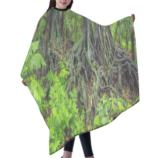 Personality  Jungle Tree Roots Hair Cutting Cape