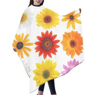 Personality  Daisy Collection Hair Cutting Cape