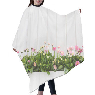 Personality  White Wooden Spring Background With Pink Daisy Flowers. Hair Cutting Cape
