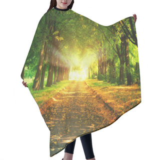 Personality  Magic Light And Walkway In Park Hair Cutting Cape