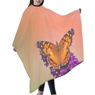 Personality  American Lady (Vanessa Virginiensis) Butterfly Hair Cutting Cape