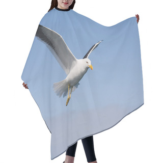 Personality  Gull Hair Cutting Cape