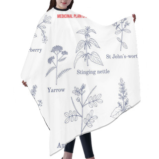 Personality  Set Of Different Medicinal Plants Hair Cutting Cape