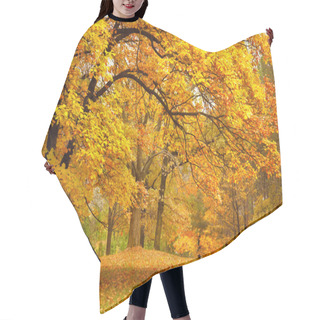 Personality  Autumn / Gold Trees In A Park Hair Cutting Cape