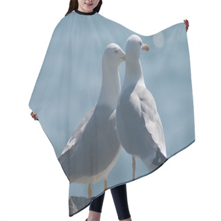 Personality  Married Couple Of Sea Gulls Hair Cutting Cape