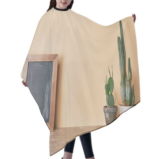 Personality  Cactuses And Wooden Photo Frame On Dusty Table On Beige Background Hair Cutting Cape