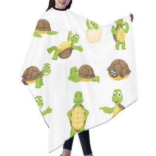 Personality  Cartoon Turtle Personage, Cute Tortoise Animal Characters. Funny Little Vector Turtles Smiling, Sleep, Hatch Of An Egg, Walking And Swim. Friendly Aquatic And Terrestrial Reptilians, Adorable Reptiles Hair Cutting Cape