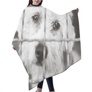 Personality  Dog In Animal Shelter Hair Cutting Cape