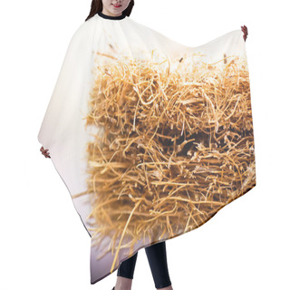 Personality  Mattress With Coconut Fiber. Coconut Coir. Grated Coconut Shell For The Production Of Mattresses. Texture, Natural Background. Hair Cutting Cape