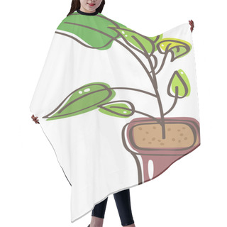 Personality  Seedling Hair Cutting Cape