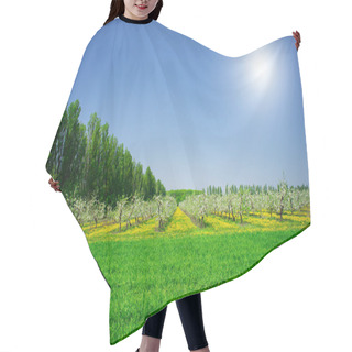 Personality  Beautiful Spring Garden. Hair Cutting Cape