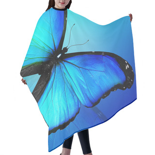 Personality  Blue Butterfly On Blue Background Hair Cutting Cape